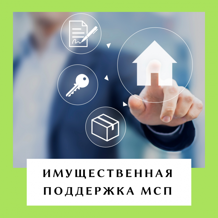 ИМУЩЕСТВЕННАЯ ПОДДЕРЖКА СУБЪЕКТОВ МАЛОГО И СРЕДНЕГО ПРЕДПРИНИМАТЕЛЬСТВА