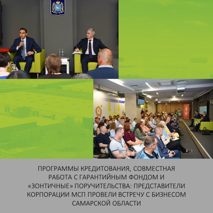 ПРОГРАММЫ КРЕДИТОВАНИЯ, СОВМЕСТНАЯ РАБОТА С ГАРАНТИЙНЫМ ФОНДОМ И «ЗОНТИЧНЫЕ» ПОРУЧИТЕЛЬСТВА: ПРЕДСТАВИТЕЛИ КОРПОРАЦИИ МСП ПРОВЕЛИ ВСТРЕЧУ С БИЗНЕСОМ САМАРСКОЙ ОБЛАСТИ