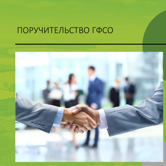 ПОРУЧИТЕЛЬСТВО ГФСО