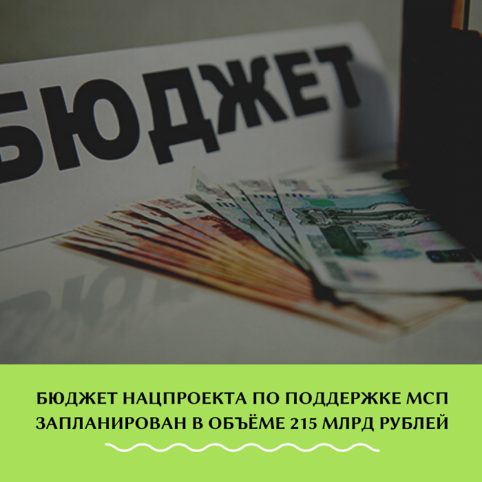 БЮДЖЕТ НАЦПРОЕКТА ПО ПОДДЕРЖКЕ МСП ЗАПЛАНИРОВАН В ОБЪЁМЕ 215 МЛРД РУБЛЕЙ