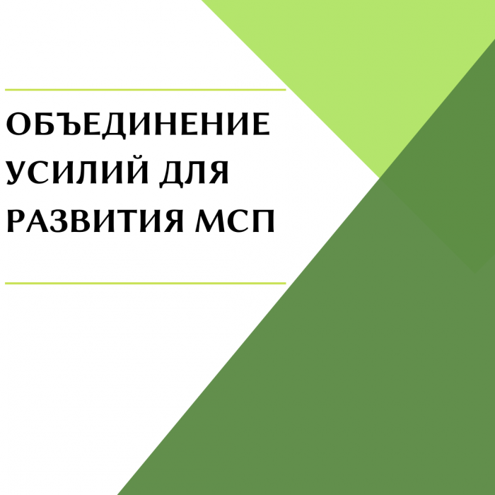 ОБЪЕДИНЕНИЕ УСИЛИЙ ДЛЯ РАЗВИТИЯ МСП