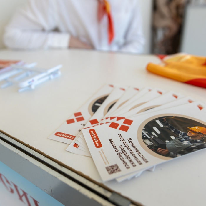 Гарантийный фонд Самарской области вошел в число самых эффективных в стране.