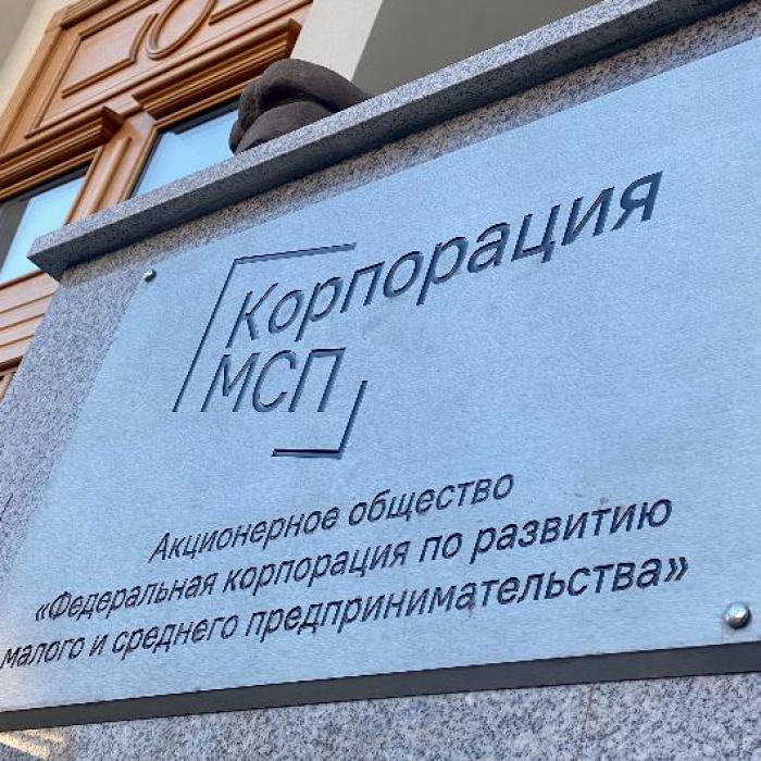 Самарские предприниматели смогут получить кредиты под зонтичные поручительства