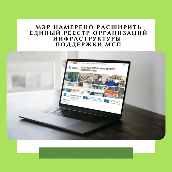 МЭР НАМЕРЕНО РАСШИРИТЬ ЕДИНЫЙ РЕЕСТР ОРГАНИЗАЦИЙ ИНФРАСТРУКТУРЫ ПОДДЕРЖКИ МСП