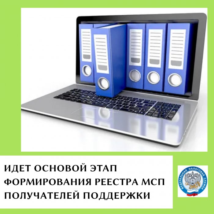 ФНС РФ начала сбор данных от организаций по поддержке МСП