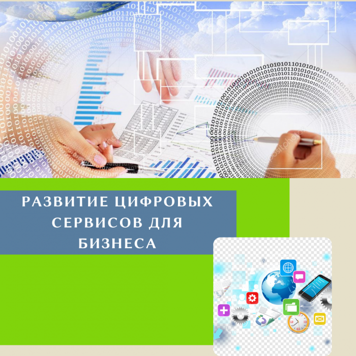РАЗВИТИЕ ЦИФРОВЫХ СЕРВИСОВ ДЛЯ БИЗНЕСА