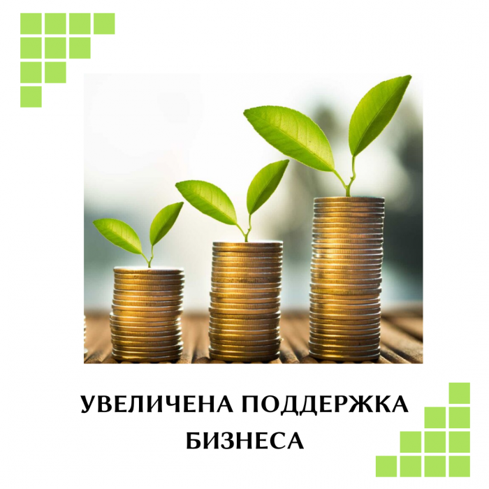 Гарантированная финансовая помощь