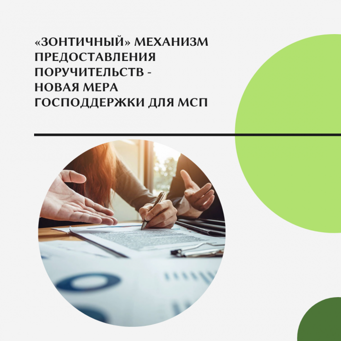 «ЗОНТИЧНЫЙ» МЕХАНИЗМ ПРЕДОСТАВЛЕНИЯ ПОРУЧИТЕЛЬСТВ - НОВУЮ МЕРА ГОСПОДДЕРЖКИ ДЛЯ МСП